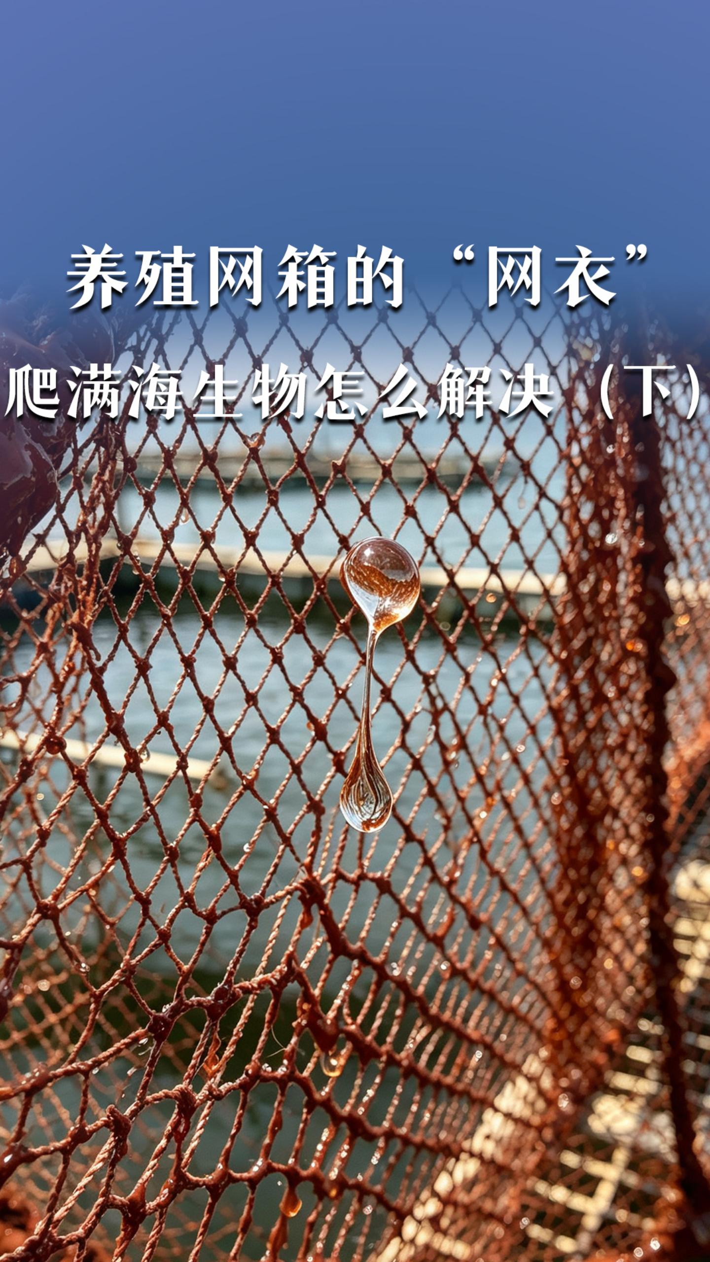 养殖网箱的“网衣”爬满海生物怎么解决（下）