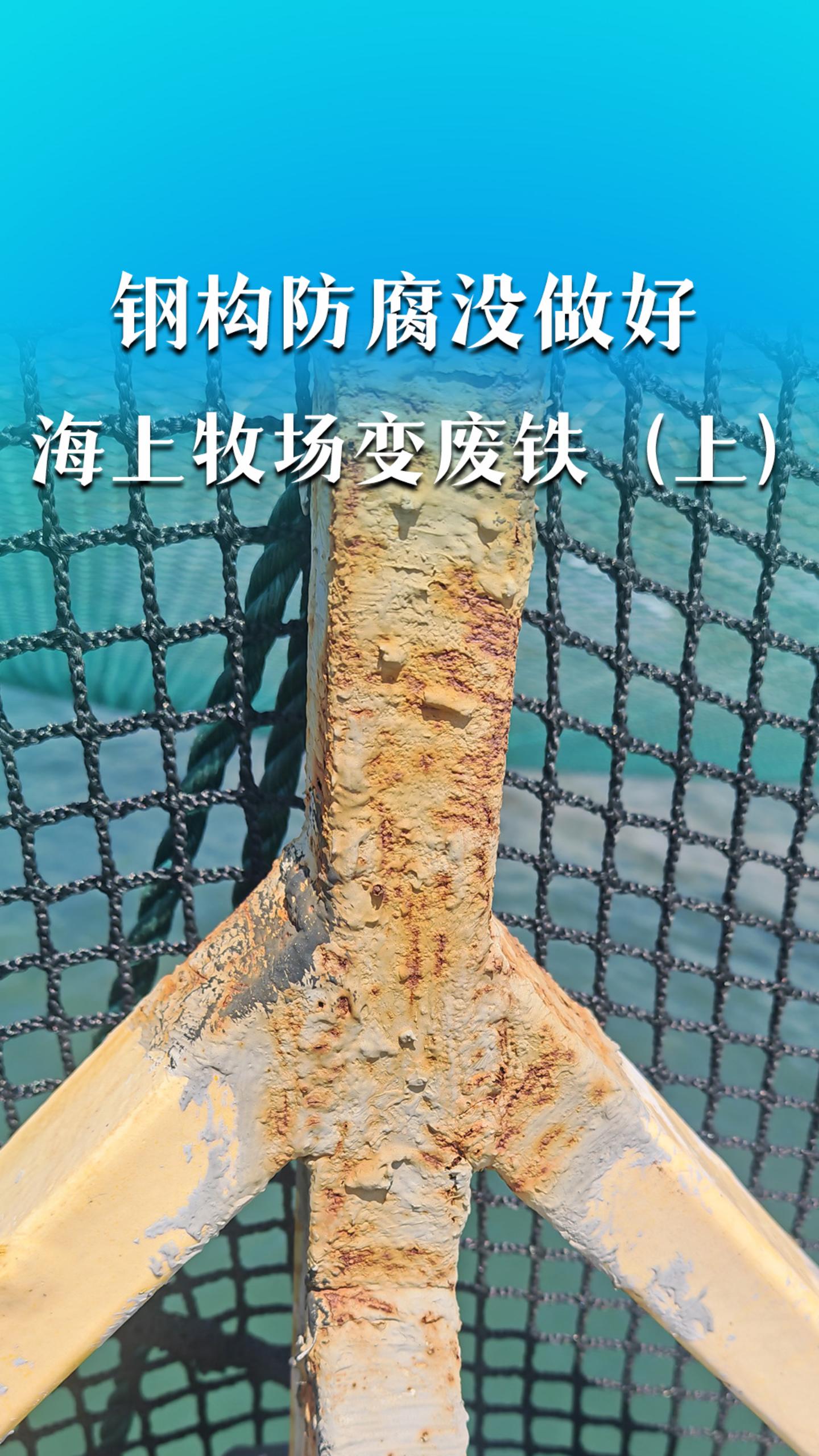 钢构防腐没做好，海上牧场变废铁（上）