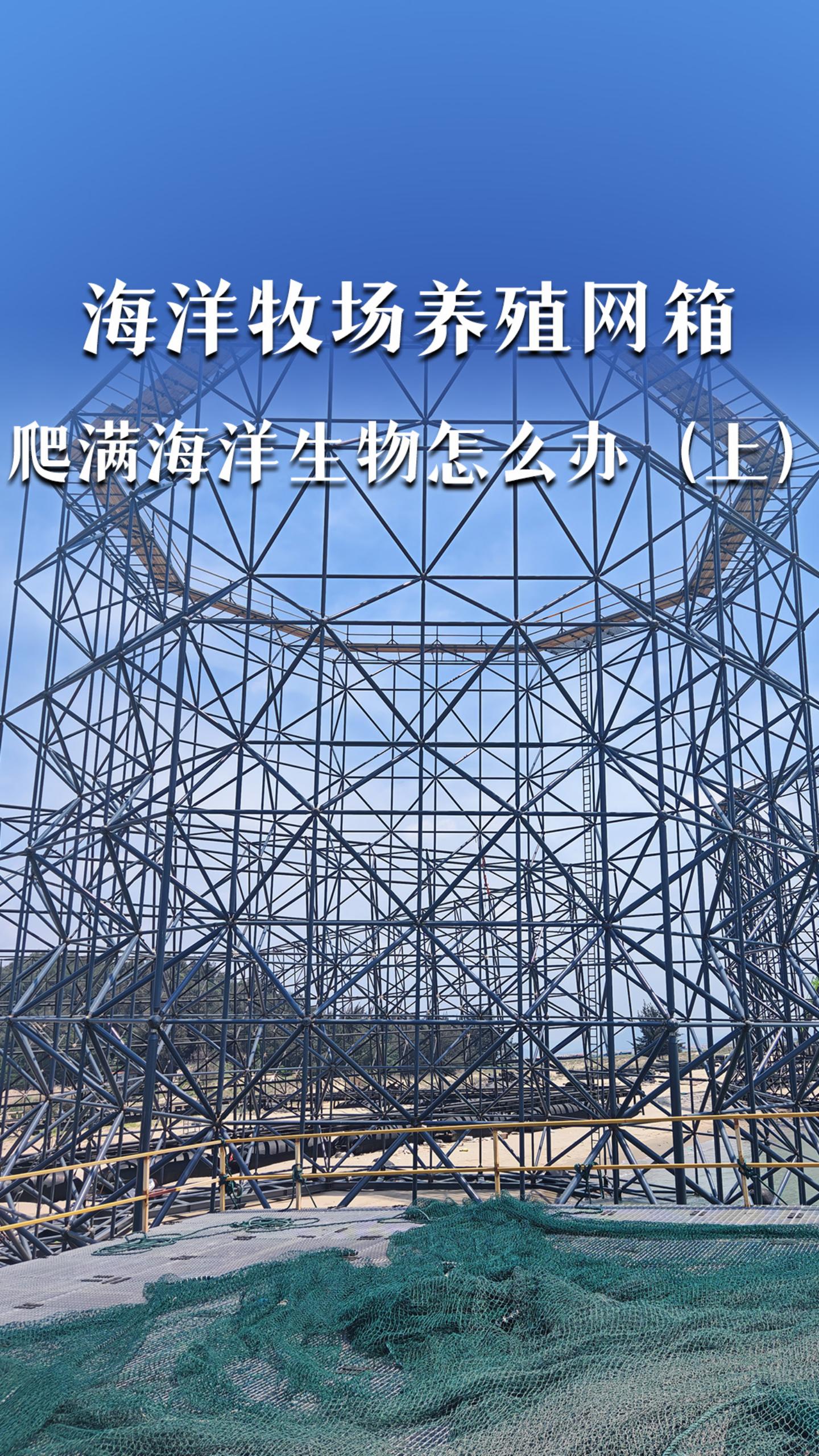 海洋牧场养殖网箱，爬满海洋生物怎么办？（上）