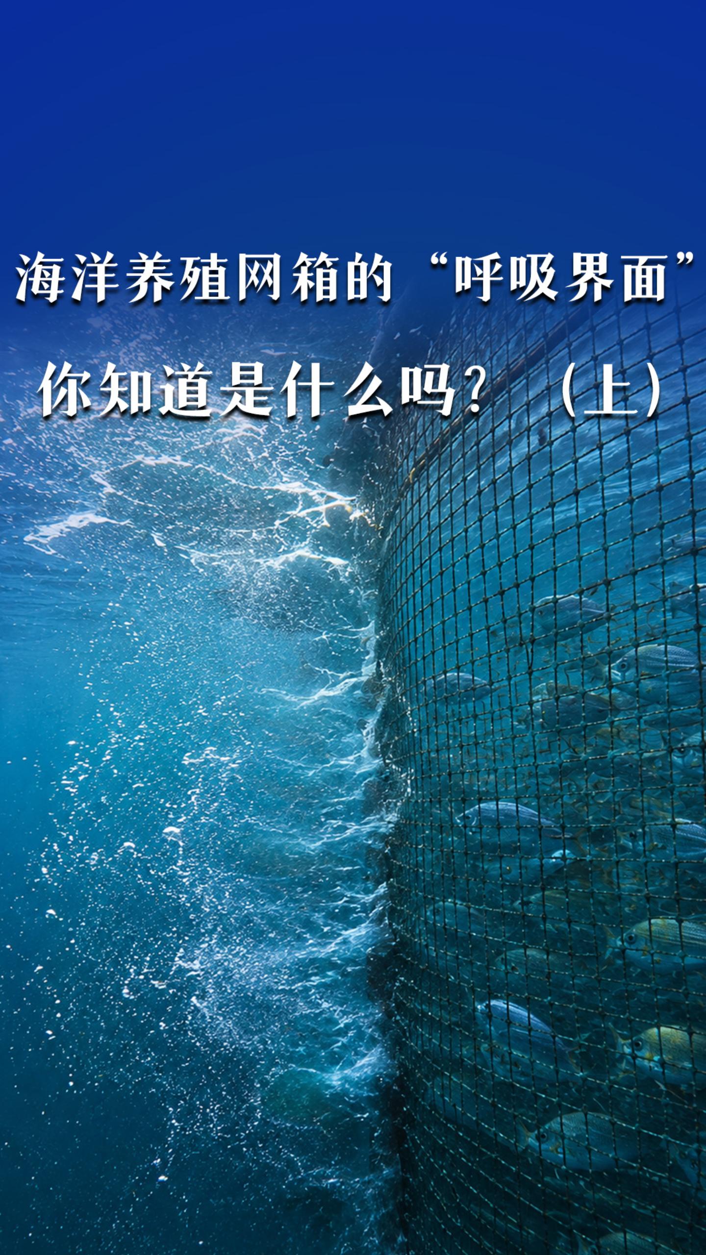 海洋养殖网箱的“呼吸界面”你知道是什么吗？（上）